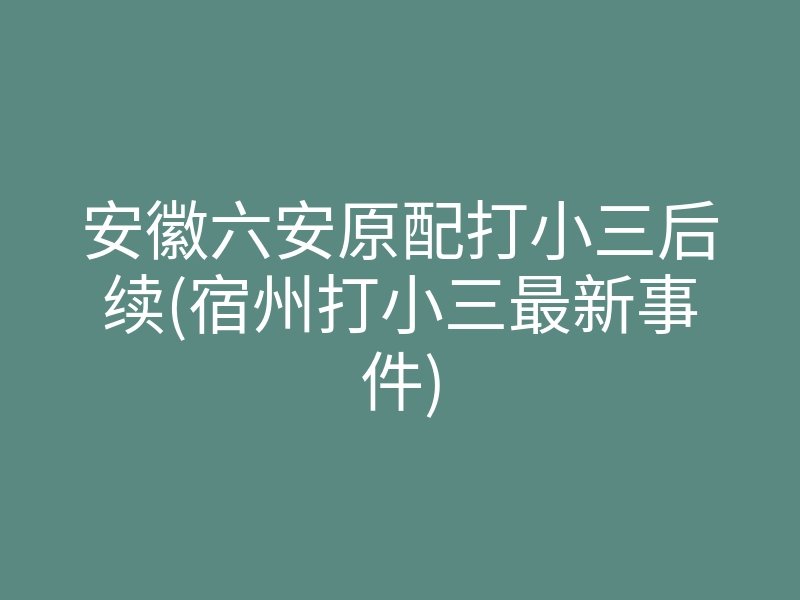 安徽六安原配打小三后续(宿州打小三最新事件)
