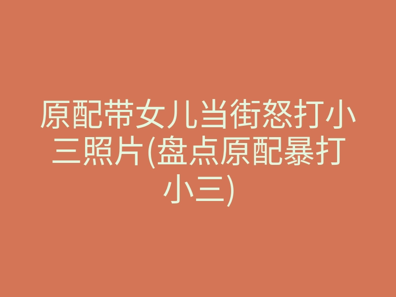 原配带女儿当街怒打小三照片(盘点原配暴打小三)