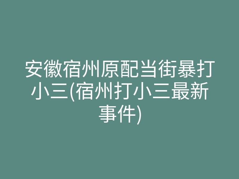 安徽宿州原配当街暴打小三(宿州打小三最新事件)