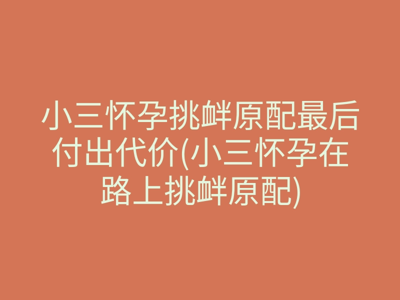 小三怀孕挑衅原配最后付出代价(小三怀孕在路上挑衅原配)
