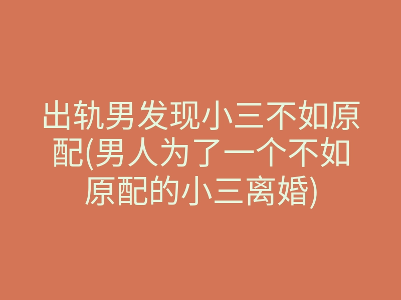 出轨男发现小三不如原配(男人为了一个不如原配的小三离婚)