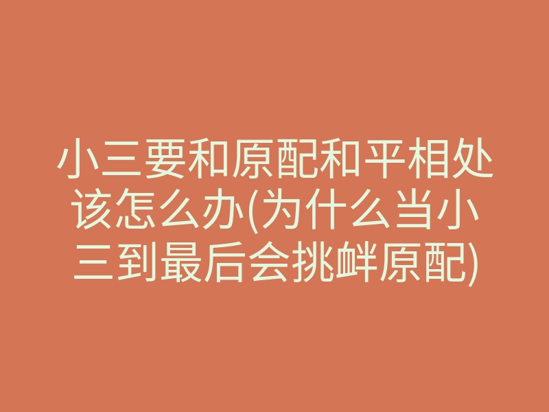 小三要和原配和平相处该怎么办(为什么当小三到最后会挑衅原配)