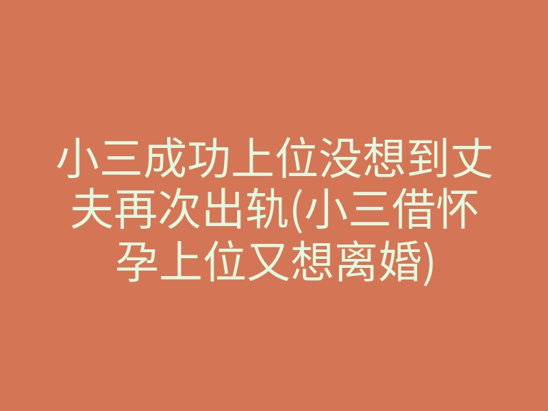 小三成功上位没想到丈夫再次出轨(小三借怀孕上位又想离婚)