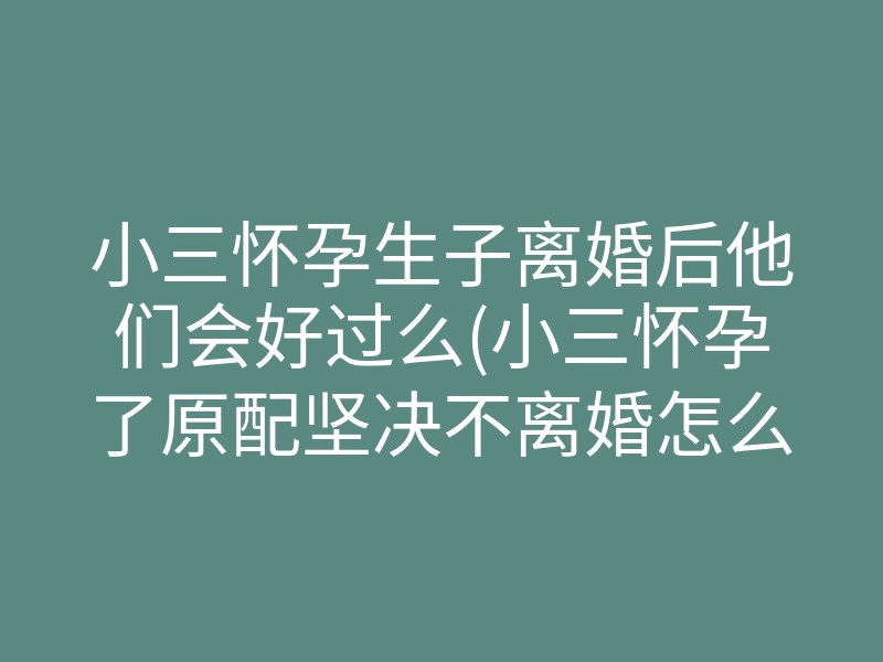 小三怀孕生子离婚后他们会好过么(小三怀孕了原配坚决不离婚怎么办)