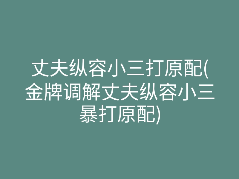丈夫纵容小三打原配(金牌调解丈夫纵容小三暴打原配)
