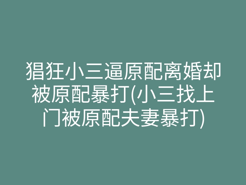 猖狂小三逼原配离婚却被原配暴打(小三找上门被原配夫妻暴打)