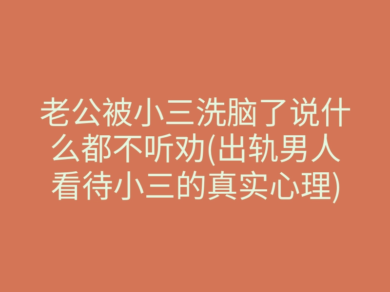 老公被小三洗脑了说什么都不听劝(出轨男人看待小三的真实心理)