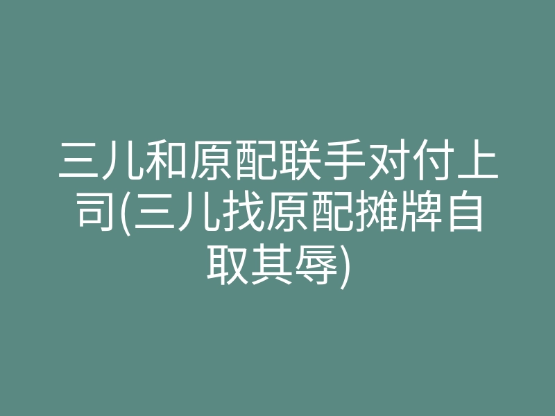 三儿和原配联手对付上司(三儿找原配摊牌自取其辱)