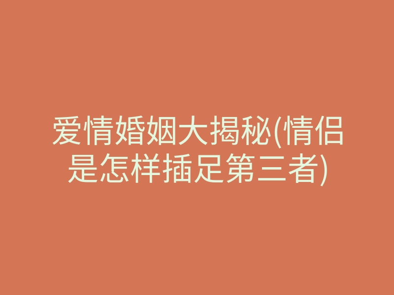 爱情婚姻大揭秘(情侣是怎样插足第三者)