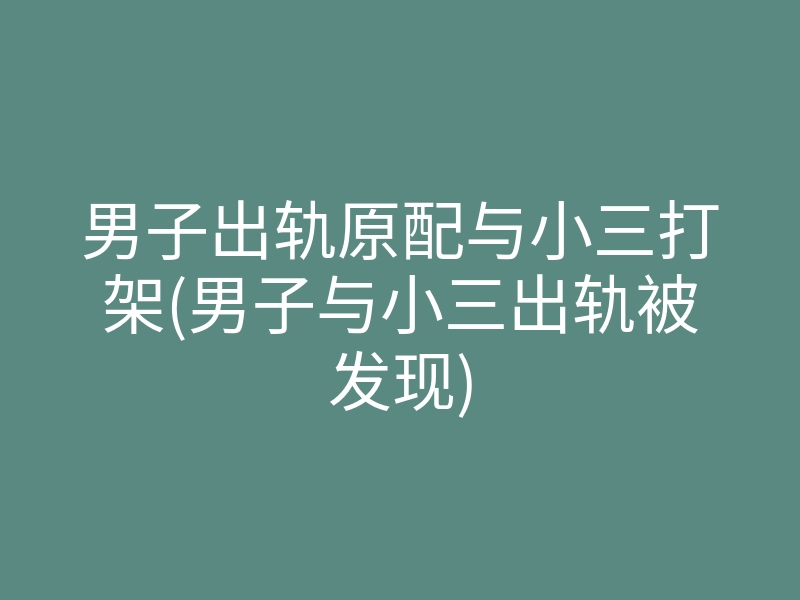 男子出轨原配与小三打架(男子与小三出轨被发现)