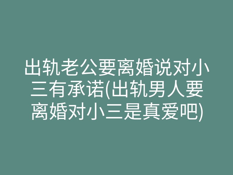 出轨老公要离婚说对小三有承诺(出轨男人要离婚对小三是真爱吧)