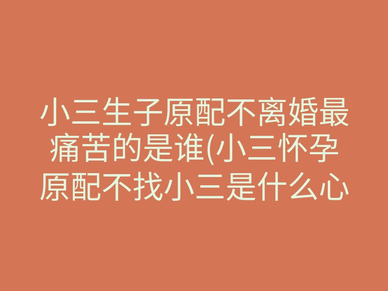小三生子原配不离婚最痛苦的是谁(小三怀孕原配不找小三是什么心态)