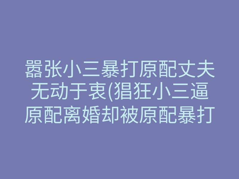 嚣张小三暴打原配丈夫无动于衷(猖狂小三逼原配离婚却被原配暴打)