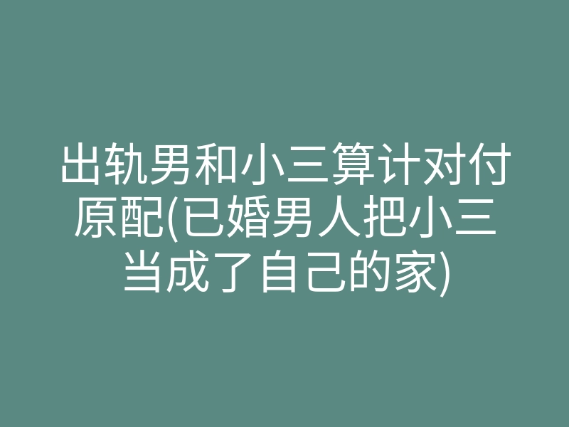 出轨男和小三算计对付原配(已婚男人把小三当成了自己的家)