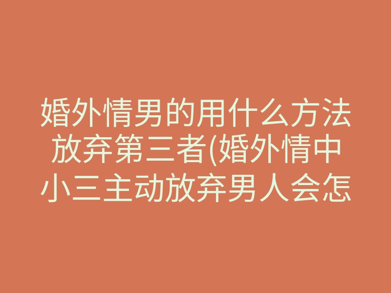 婚外情男的用什么方法放弃第三者(婚外情中小三主动放弃男人会怎样)