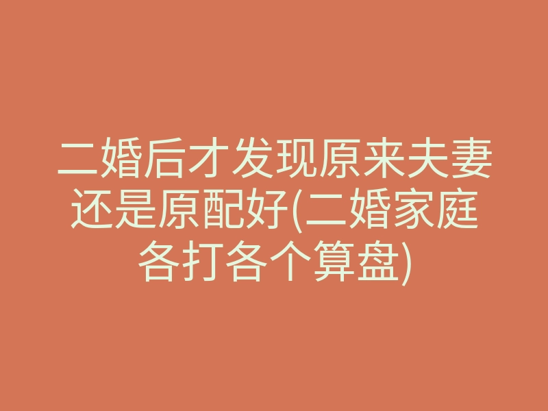二婚后才发现原来夫妻还是原配好(二婚家庭各打各个算盘)