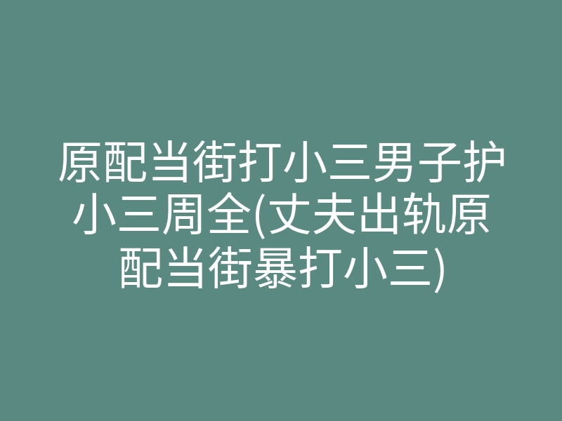 原配当街打小三男子护小三周全(丈夫出轨原配当街暴打小三)
