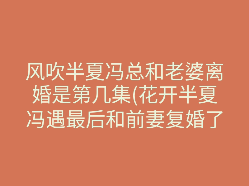 风吹半夏冯总和老婆离婚是第几集(花开半夏冯遇最后和前妻复婚了吗)