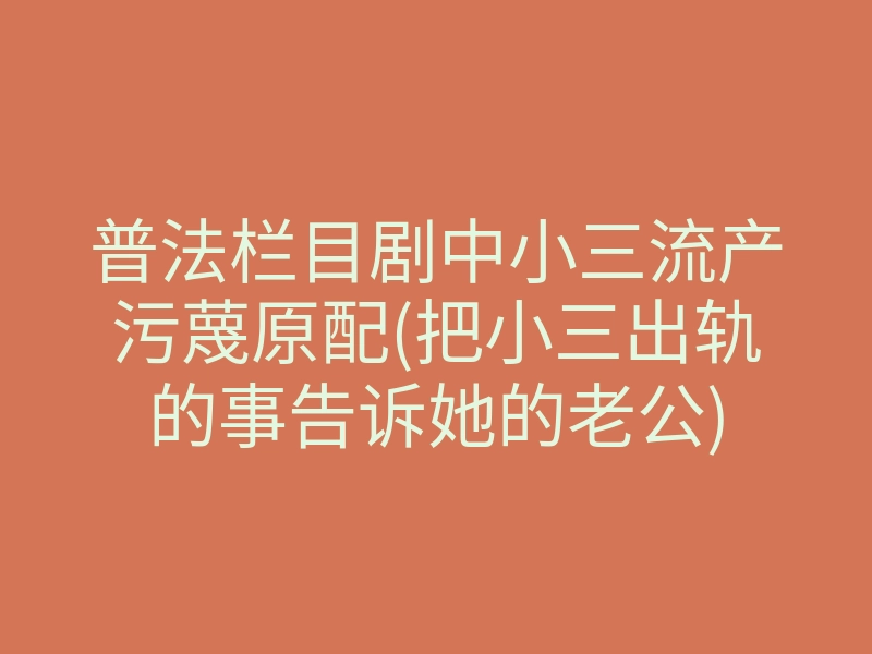 普法栏目剧中小三流产污蔑原配(把小三出轨的事告诉她的老公)