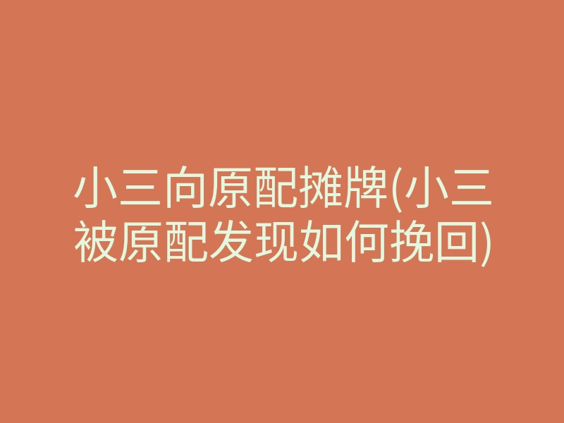 小三向原配摊牌(小三被原配发现如何挽回)