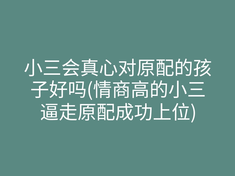 小三会真心对原配的孩子好吗(情商高的小三逼走原配成功上位)