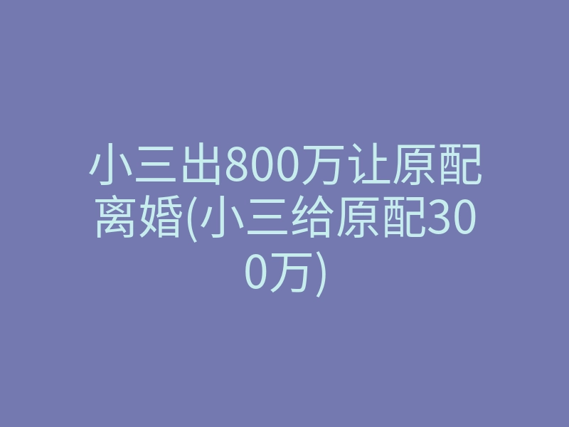 小三出800万让原配离婚(小三给原配300万)