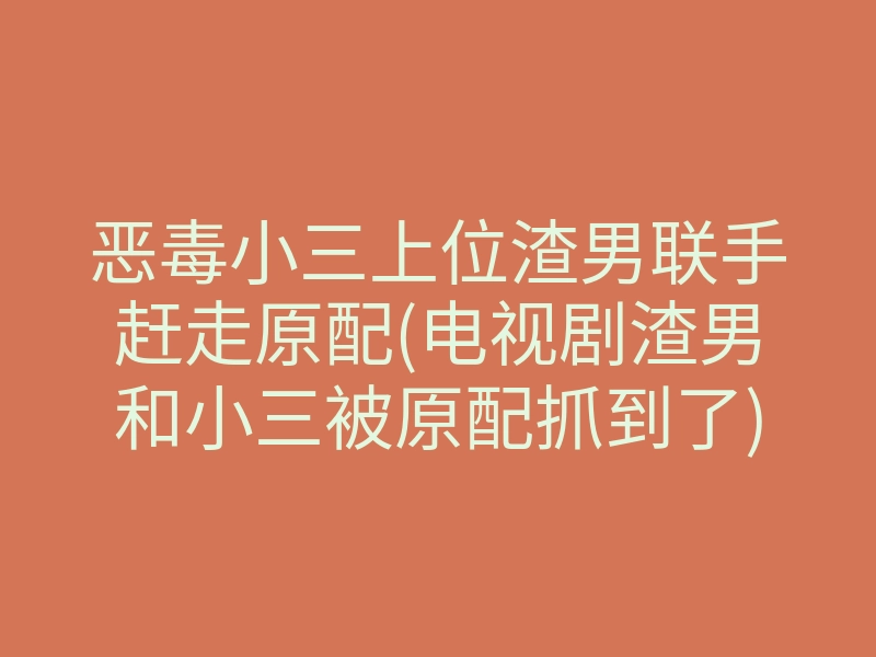 恶毒小三上位渣男联手赶走原配(电视剧渣男和小三被原配抓到了)