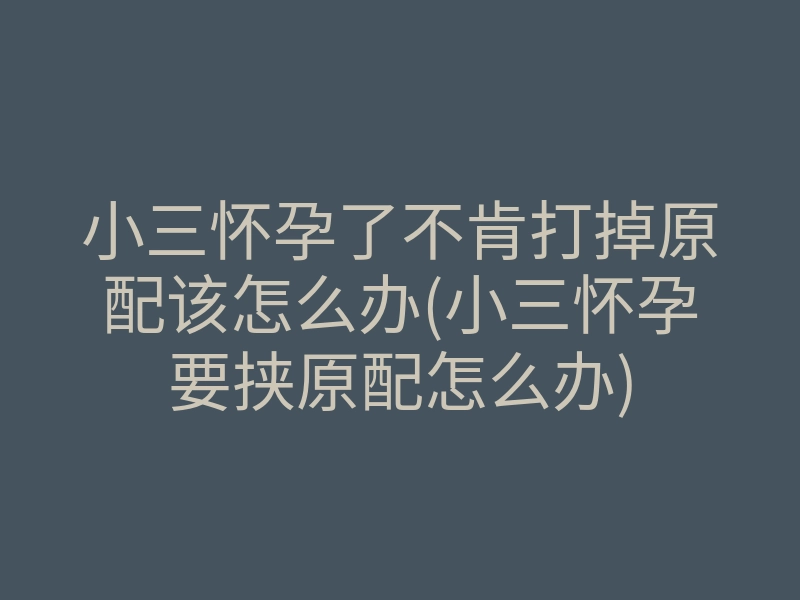 小三怀孕了不肯打掉原配该怎么办(小三怀孕要挟原配怎么办)