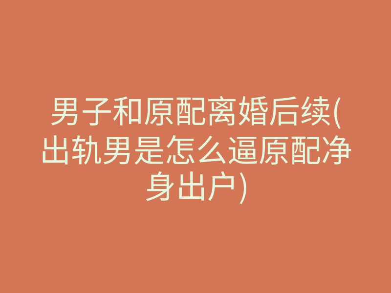 男子和原配离婚后续(出轨男是怎么逼原配净身出户)
