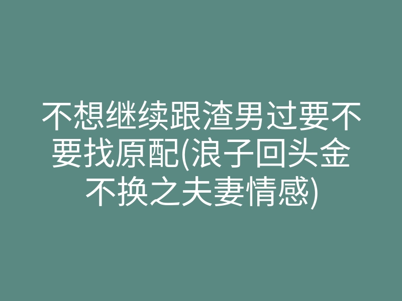 不想继续跟渣男过要不要找原配(浪子回头金不换之夫妻情感)