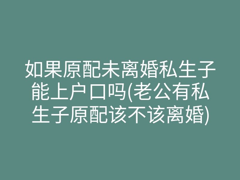 如果原配未离婚私生子能上户口吗(老公有私生子原配该不该离婚)
