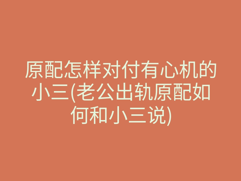 原配怎样对付有心机的小三(老公出轨原配如何和小三说)