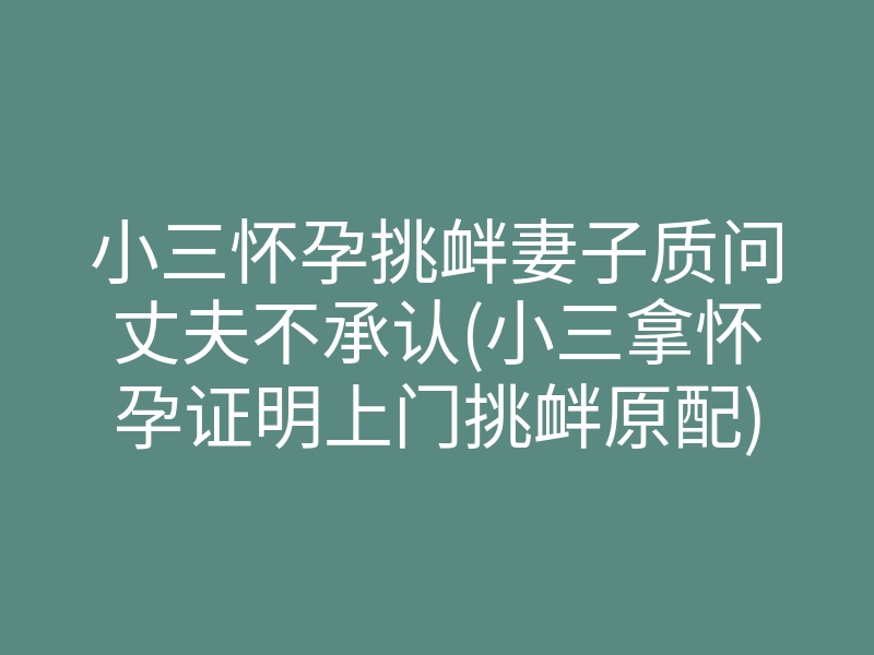 小三怀孕挑衅妻子质问丈夫不承认(小三拿怀孕证明上门挑衅原配)