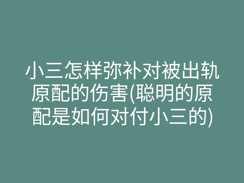 小三怎样弥补对被出轨原配的伤害(聪明的原配是如何对付小三的)