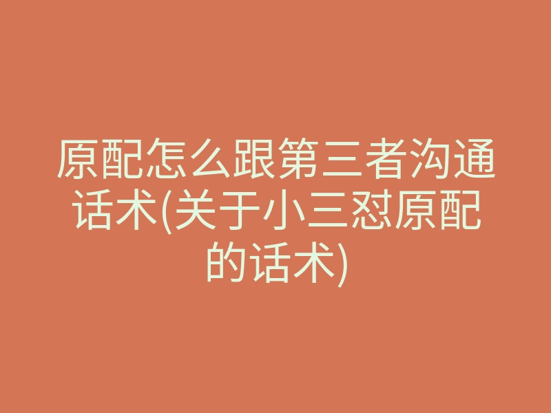 原配怎么跟第三者沟通话术(关于小三怼原配的话术)