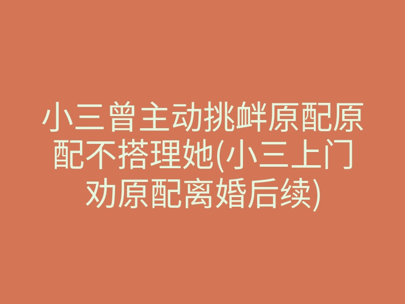 小三曾主动挑衅原配原配不搭理她(小三上门劝原配离婚后续)