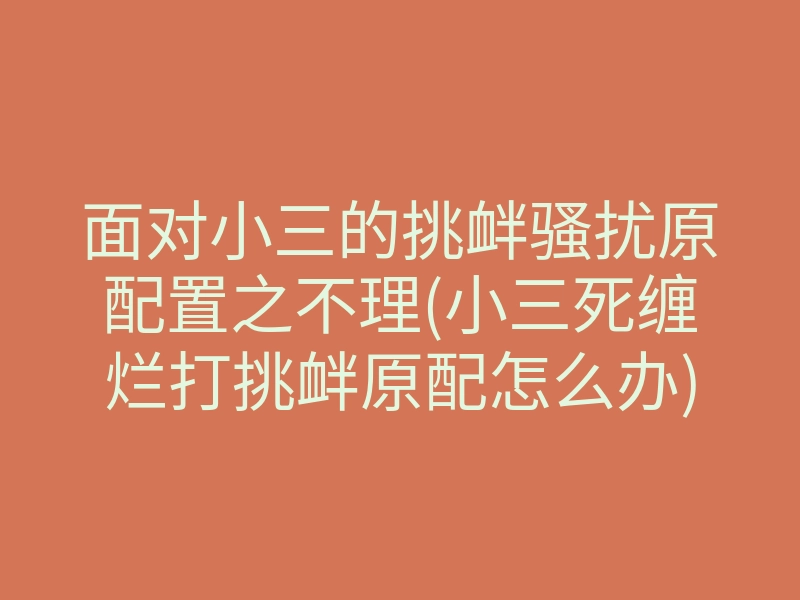 面对小三的挑衅骚扰原配置之不理(小三死缠烂打挑衅原配怎么办)