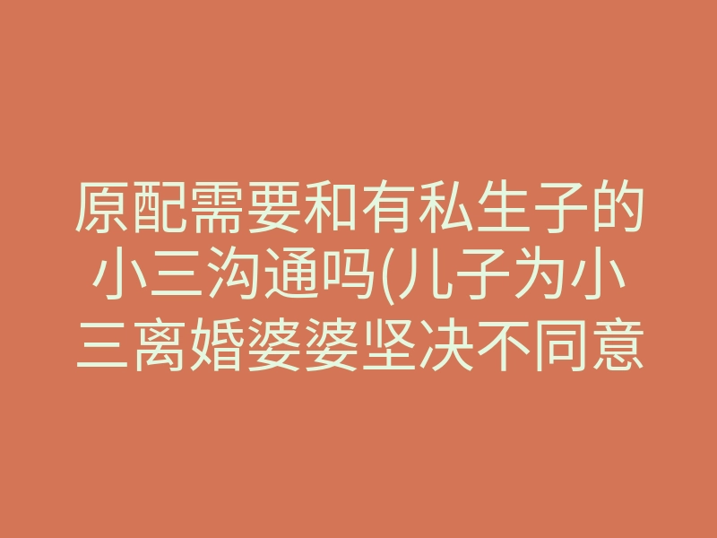 原配需要和有私生子的小三沟通吗(儿子为小三离婚婆婆坚决不同意)