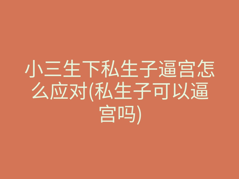 小三生下私生子逼宫怎么应对(私生子可以逼宫吗)