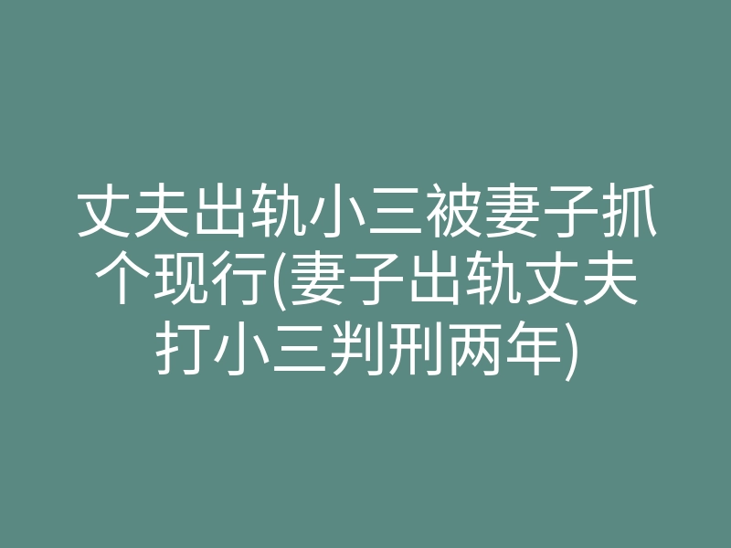 丈夫出轨小三被妻子抓个现行(妻子出轨丈夫打小三判刑两年)