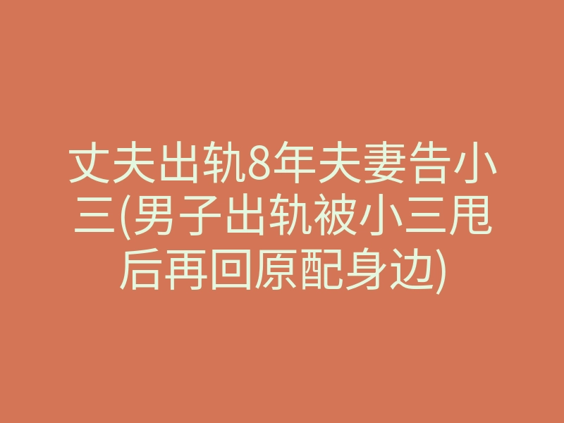 丈夫出轨8年夫妻告小三(男子出轨被小三甩后再回原配身边)