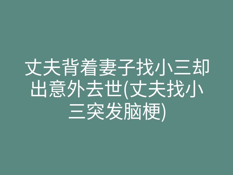 丈夫背着妻子找小三却出意外去世(丈夫找小三突发脑梗)