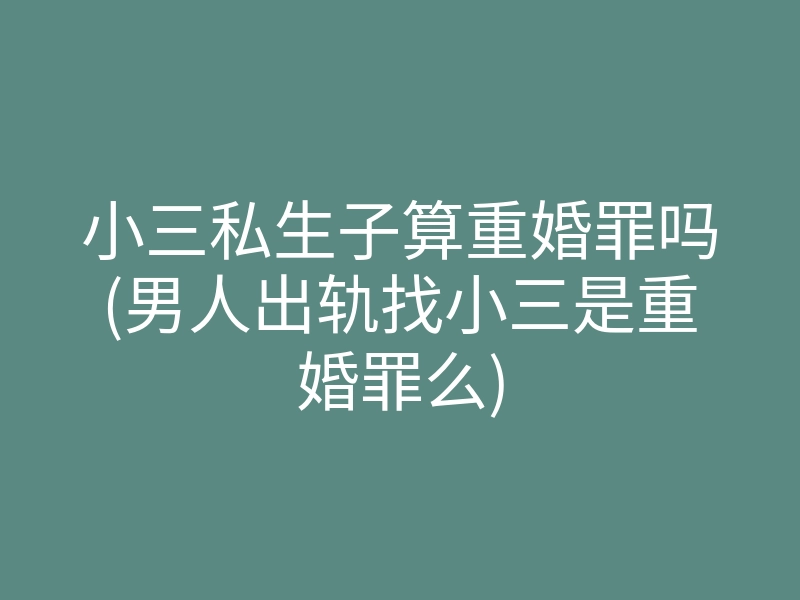小三私生子算重婚罪吗(男人出轨找小三是重婚罪么)