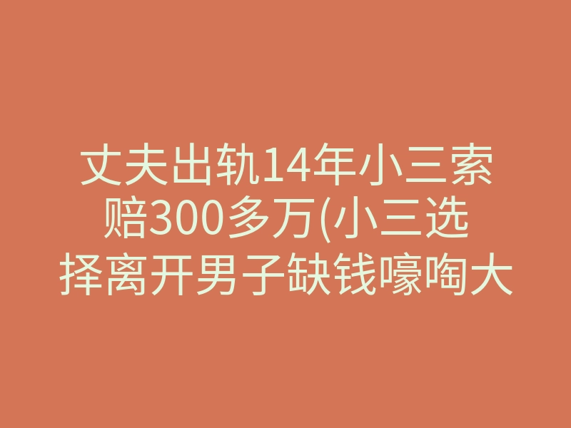 丈夫出轨14年小三索赔300多万(小三选择离开男子缺钱嚎啕大哭)