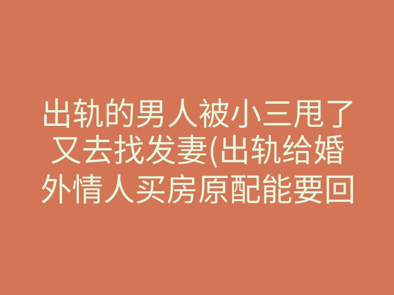 出轨的男人被小三甩了又去找发妻(出轨给婚外情人买房原配能要回吗)