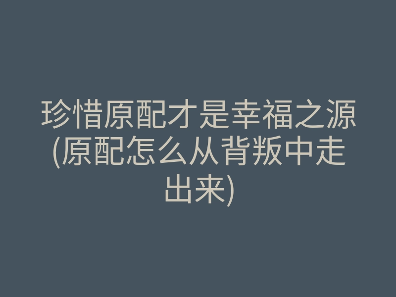 珍惜原配才是幸福之源(原配怎么从背叛中走出来)