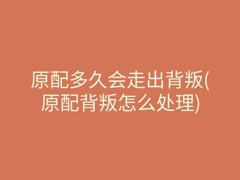 原配多久会走出背叛(原配背叛怎么处理)