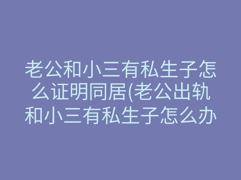 老公和小三有私生子怎么证明同居(老公出轨和小三有私生子怎么办)