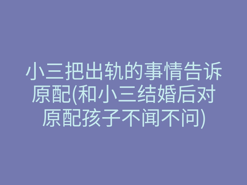 小三把出轨的事情告诉原配(和小三结婚后对原配孩子不闻不问)