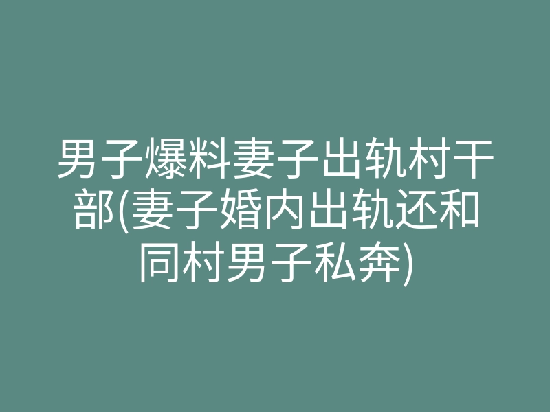 男子爆料妻子出轨村干部(妻子婚内出轨还和同村男子私奔)